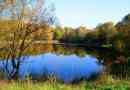 Losyina-sziget - moszkva régió nemzeti park